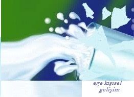 Aile Desteği-Çocuğa aile desteği