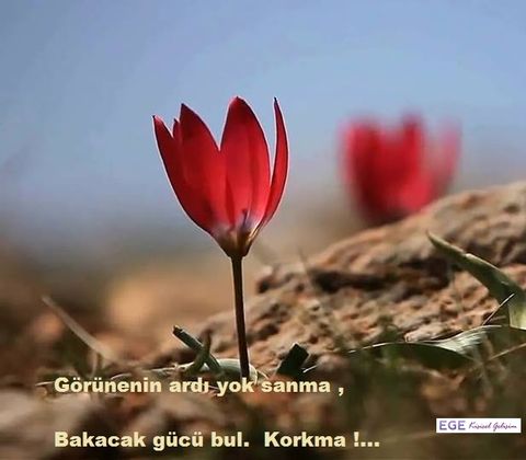 Psikoterapi çalışması