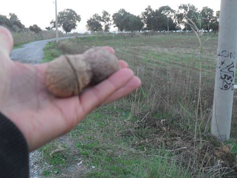 Arınma Terapi Grupları