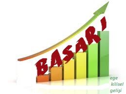 sinavbasari
